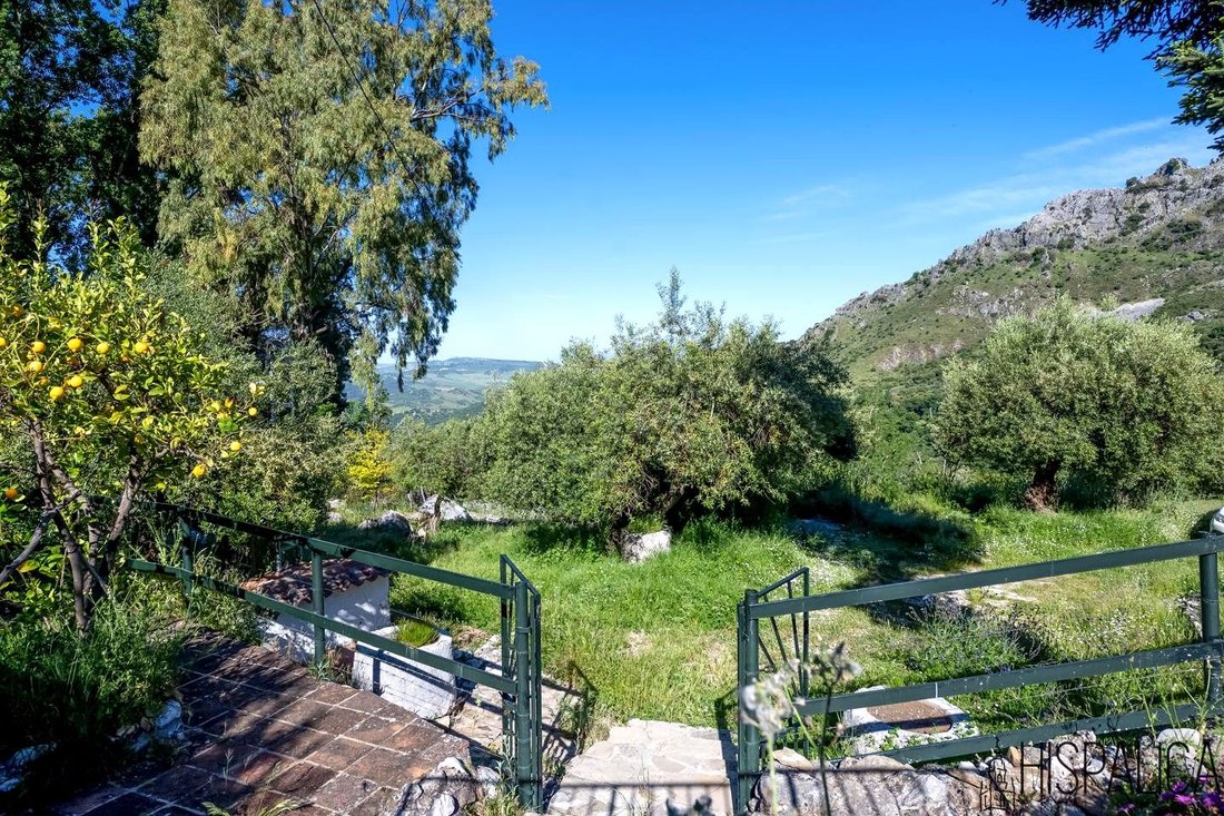 Country House in Grazalema, Andalusia, Spain 4 - 15809077