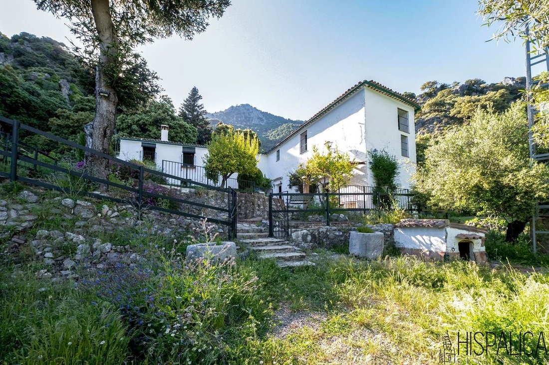 Country House in Grazalema, Andalusia, Spain 1 - 15809077