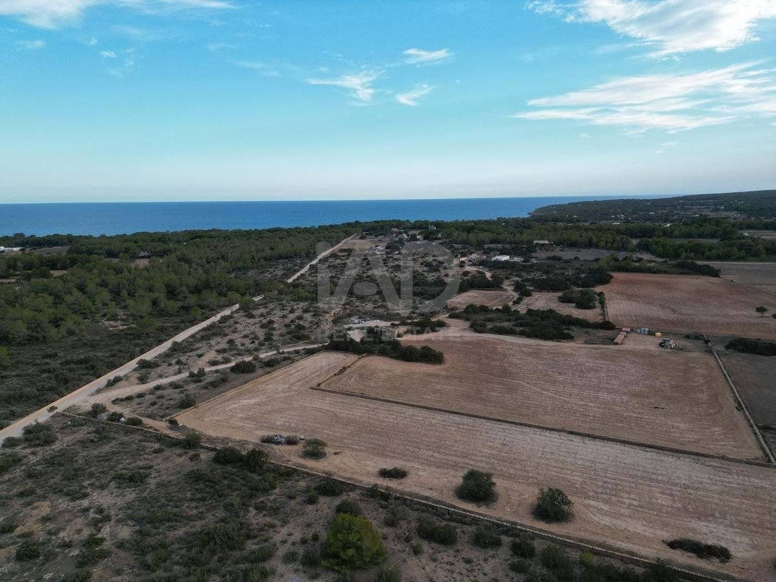 Land in Formentera, Balearic Islands, Spain 3 - 16762309