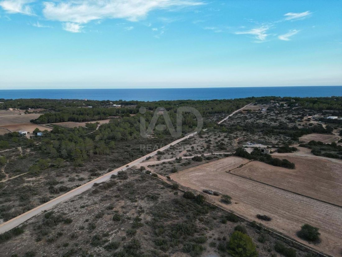 Land in Formentera, Balearic Islands, Spain 4 - 16762309