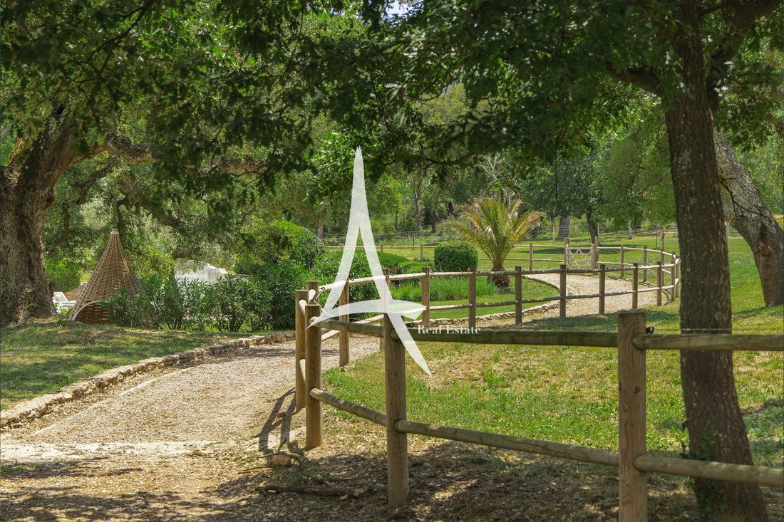 Villa in Zone Ouest Urbaine, Saint-Tropez, France 4 - 17573234