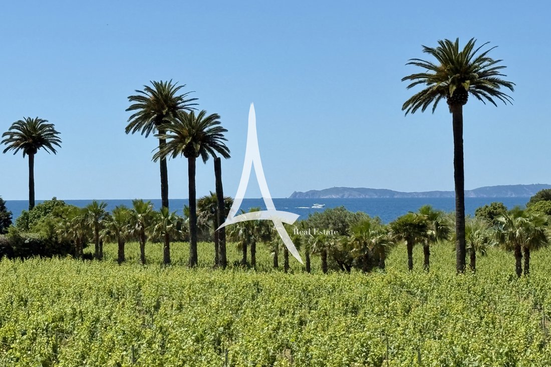 Villa in La Croix-Valmer, Provence-Alpes-Côte d'Azur, France 5 - 17573242