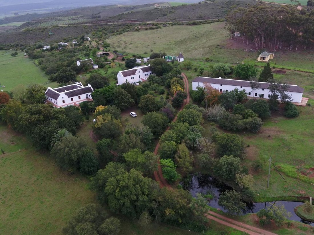 Farm Ranch in Johannesburg, Gauteng, South Africa 4 - 17572712