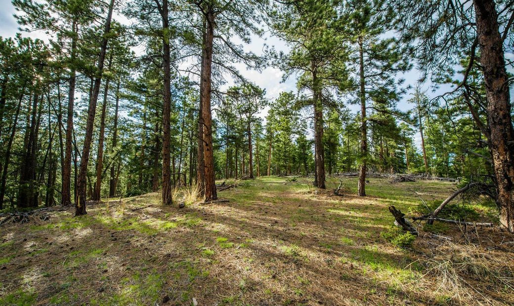 Expansive Opportunité De Développement De Dans Conifer, Colorado, états ...
