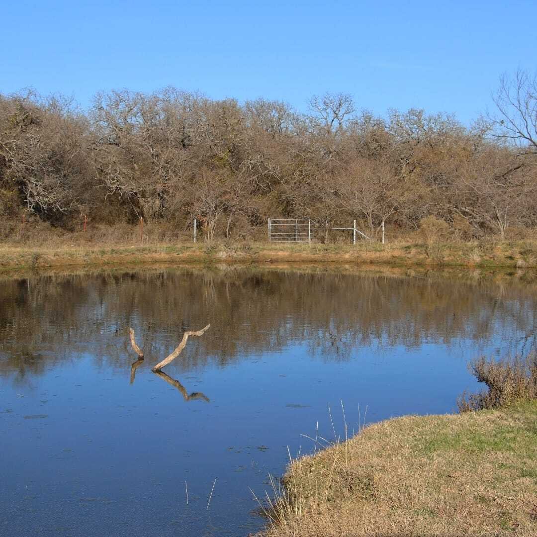 Land in Bridgeport, Texas, United States 4 - 17585164