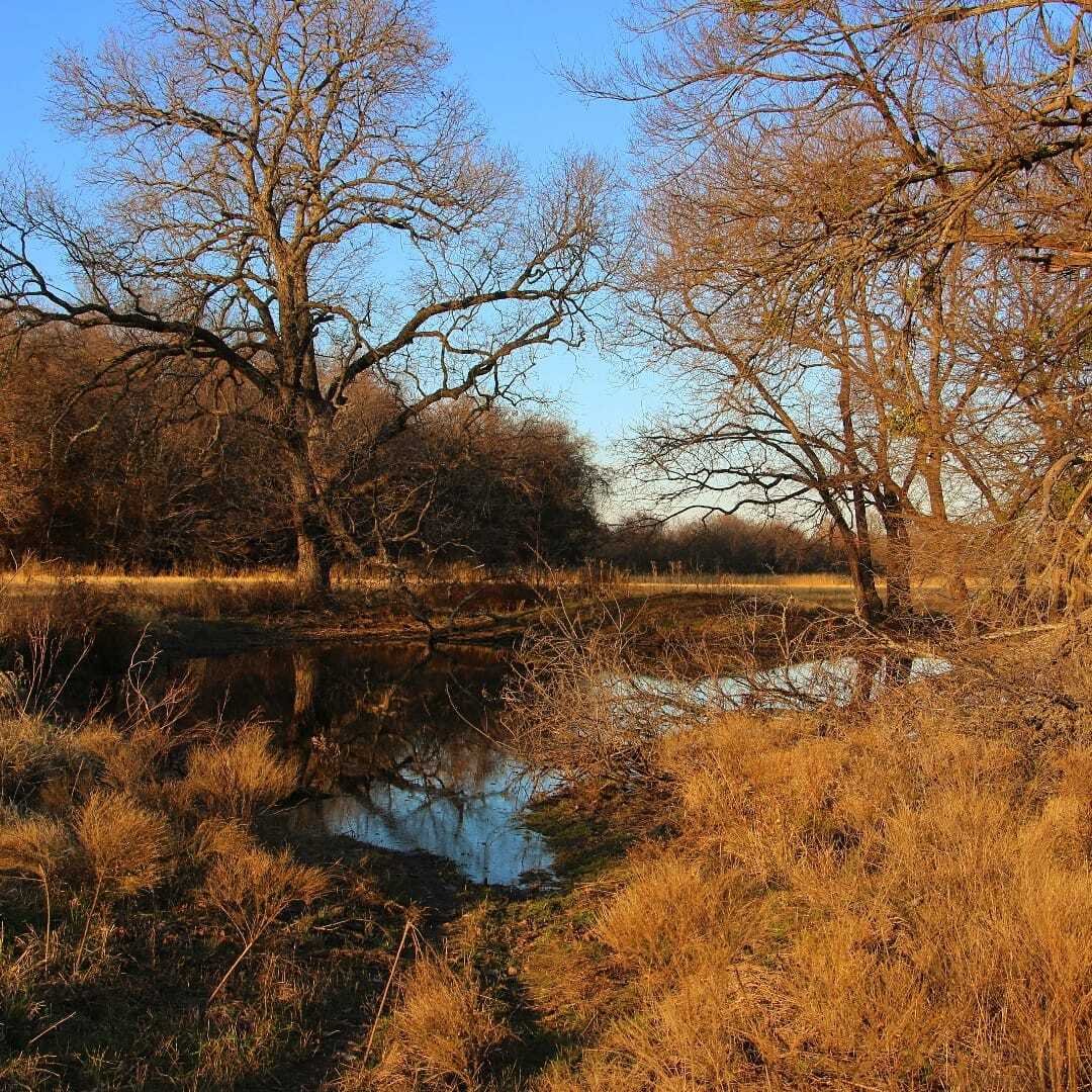 Land in Bridgeport, Texas, United States 2 - 17585164