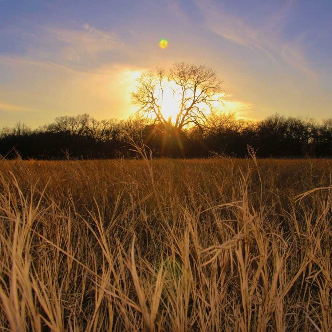 Land in Bridgeport, Texas, United States 3 - 17585164