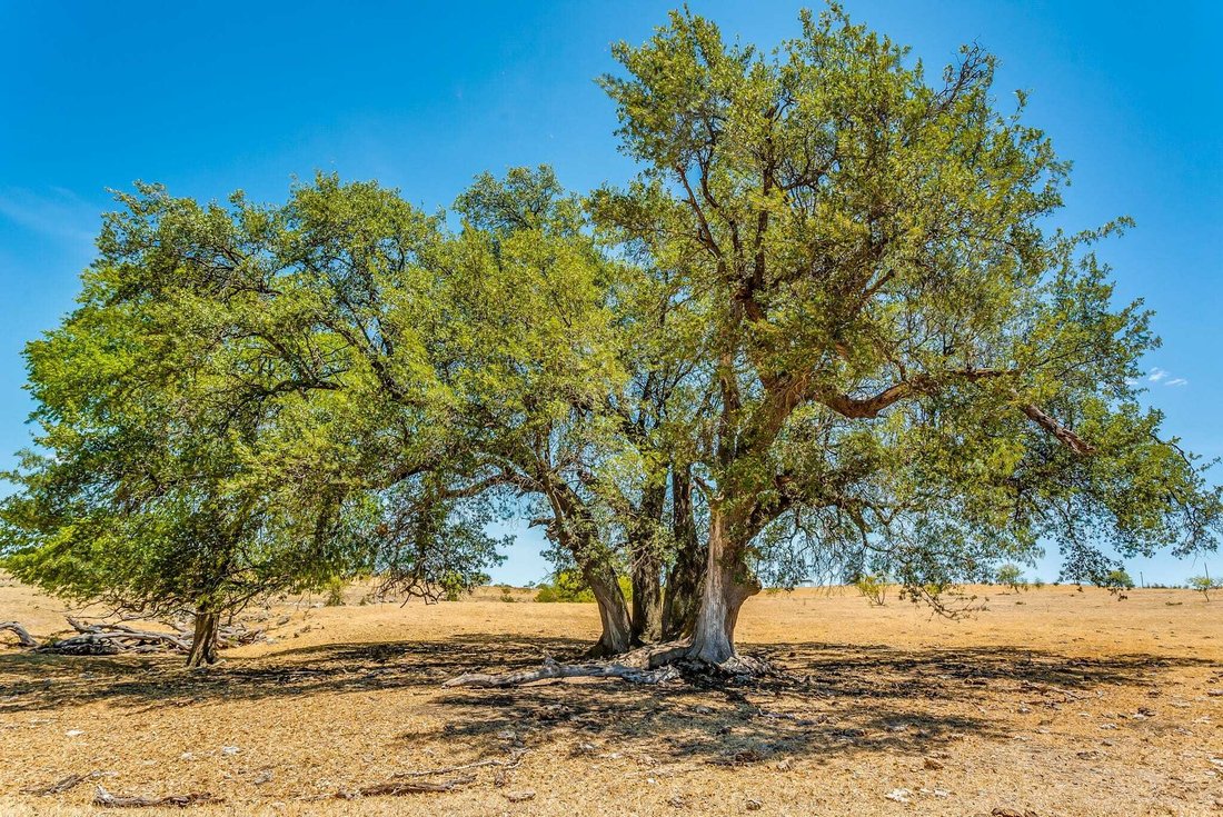 Terreno en Cresson, Texas, Estados Unidos 5 - 17585019