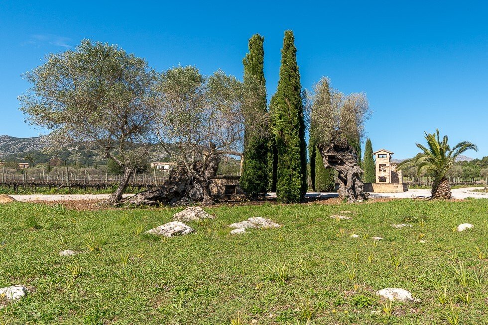 Country House in Pollenca, Balearic Islands, Spain 5 - 17071358