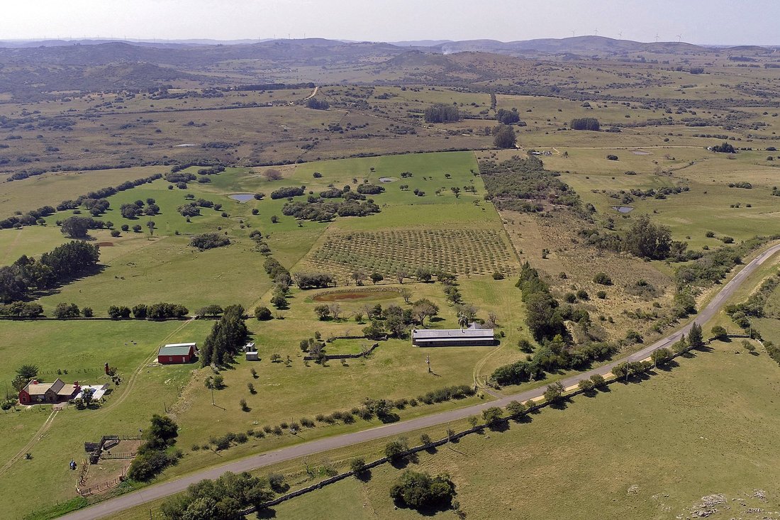Farm Ranch in San Carlos, Maldonado Department, Uruguay 4 - 17572205