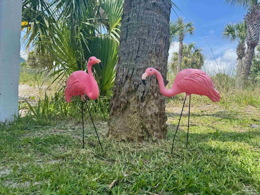 House in Gulf Breeze, Florida, United States 3 - 17572379