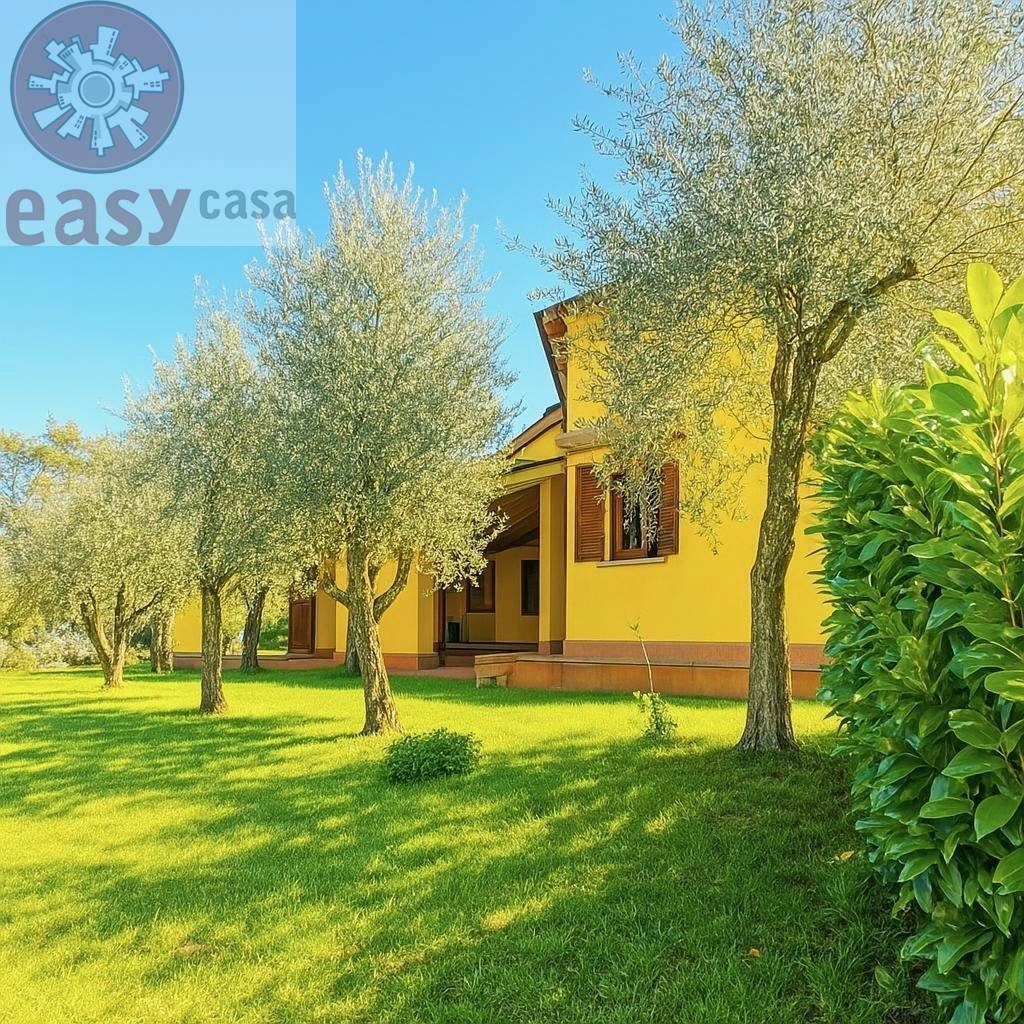 Villa in Montecarlo, Tuscany, Italy 3 - 17575763