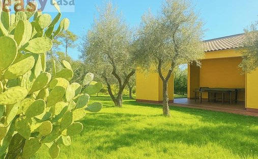 Villa in Montecarlo, Tuscany, Italy 1