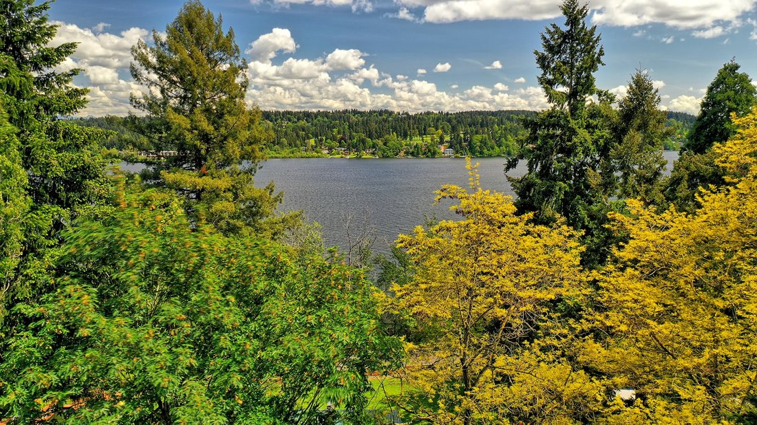 House in Lake Forest Park, Washington, United States 2 - 17573824