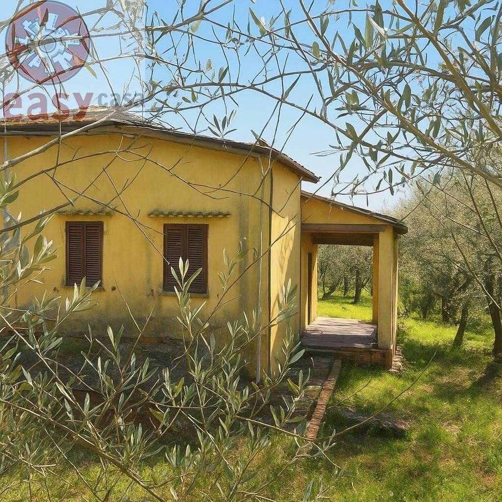 Villa in Montecarlo, Tuscany, Italy 5 - 17575763