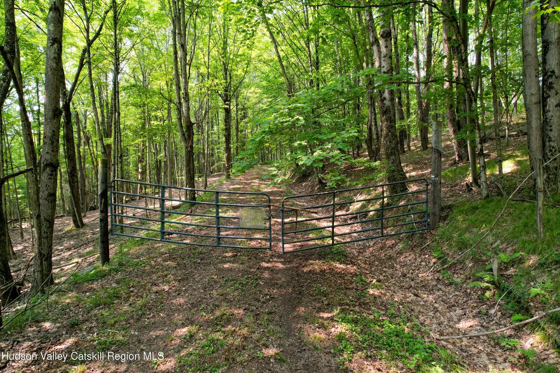 Land in Fleischmanns, New York, United States 1 - 17574356