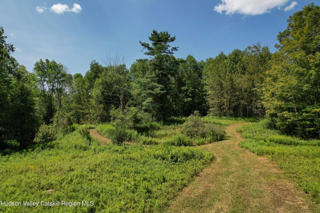 Land in Fleischmanns, New York, United States 4 - 17574356
