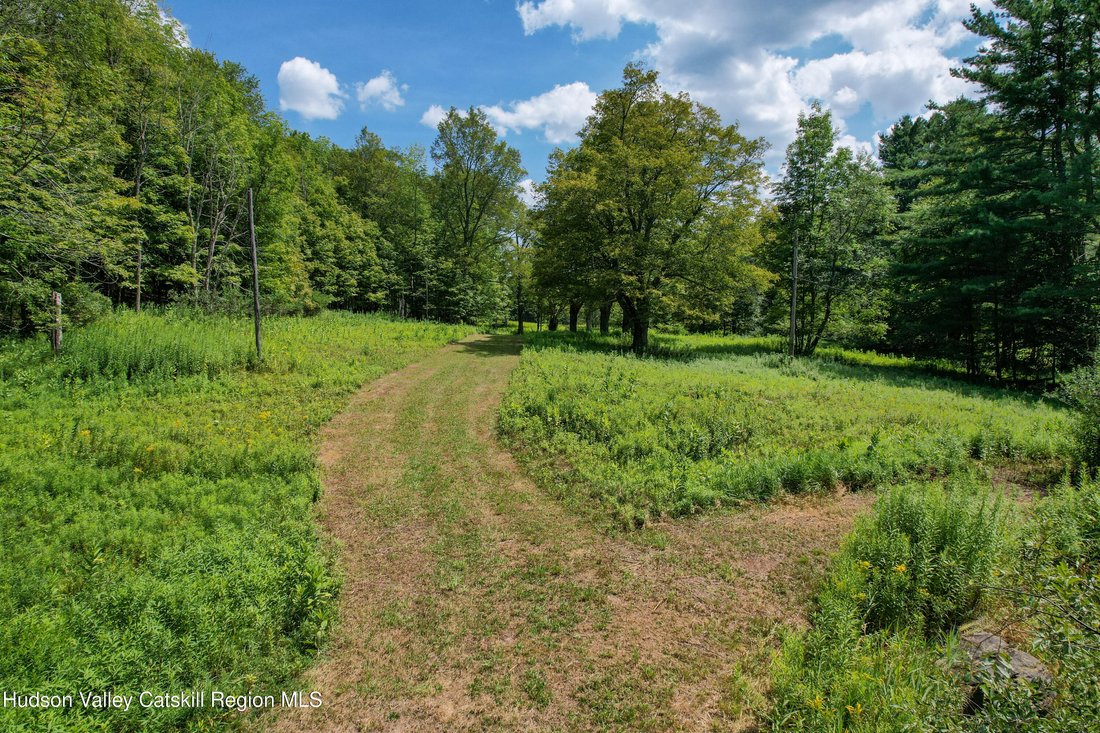 Land in Fleischmanns, New York, United States 5 - 17574356