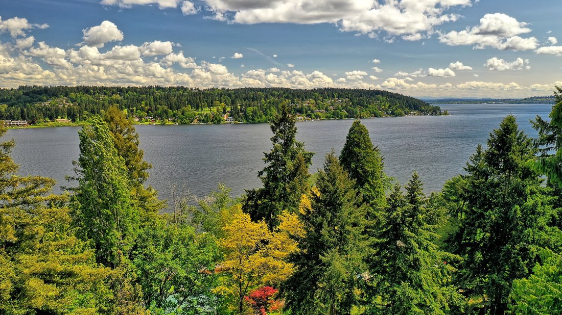House in Lake Forest Park, Washington, United States 1 - 17573824