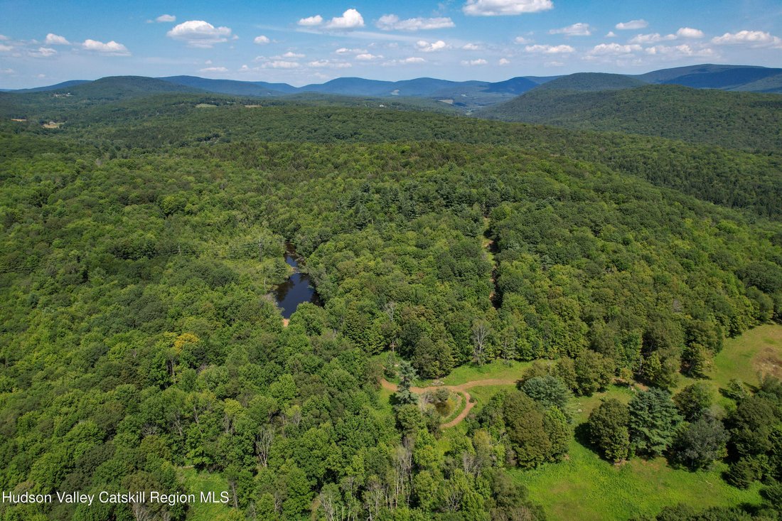 Land in Fleischmanns, New York, United States 3 - 17574356