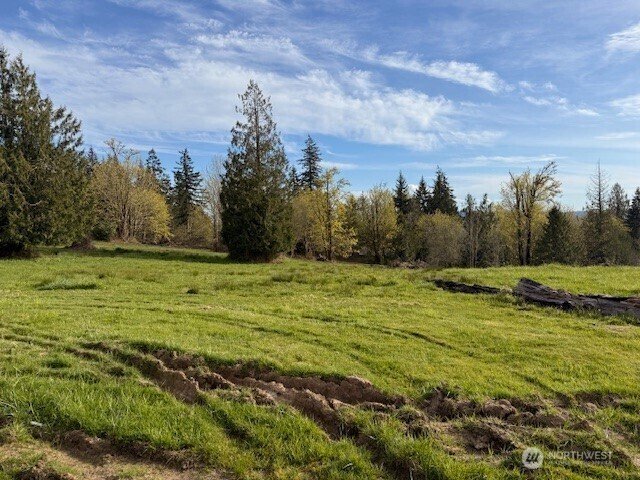 Land in Kelso, Washington, United States 3 - 17591594