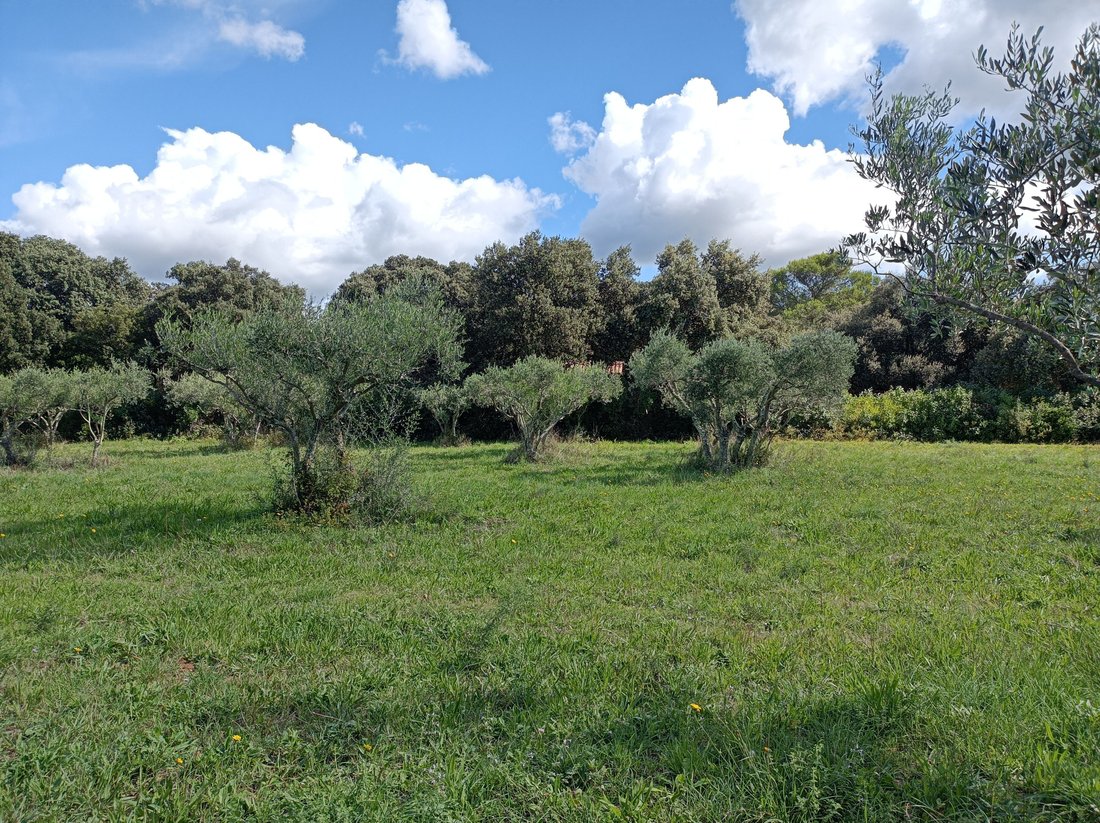 House in Saint-Siffret, Occitania, France 5 - 17596052