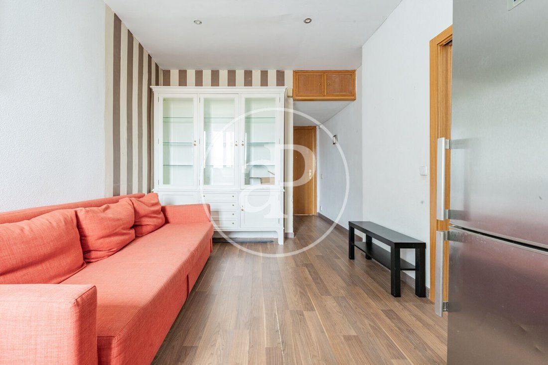 Apartment in Barrio Salamanca, Madrid, Spain 3 - 17220543