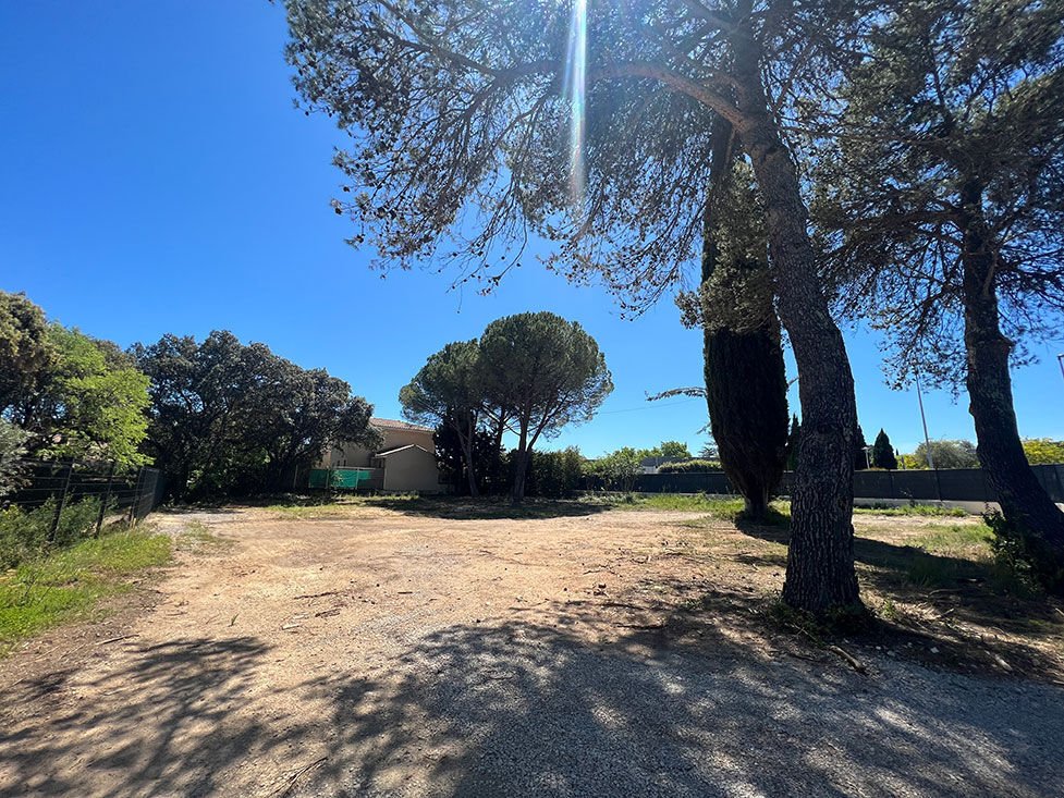 House in Centre Ville, Castries, France 5 - 17596060