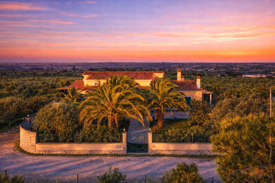 Farm Ranch in Cartaxo e Vale da Pinta, Santarem District, Portugal 5 - 17595699