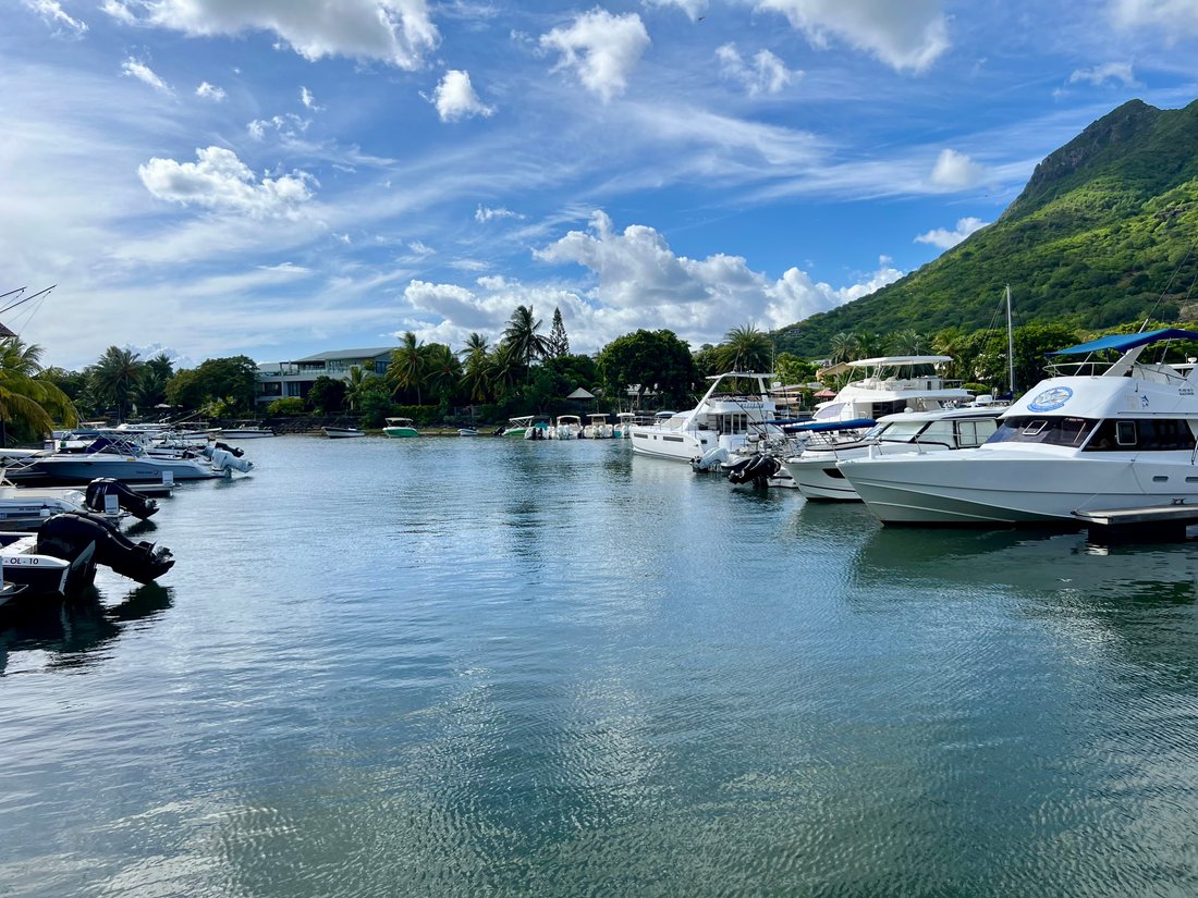 Apartment in Black River, Rivière Noire District, Mauritius 2 - 17598058