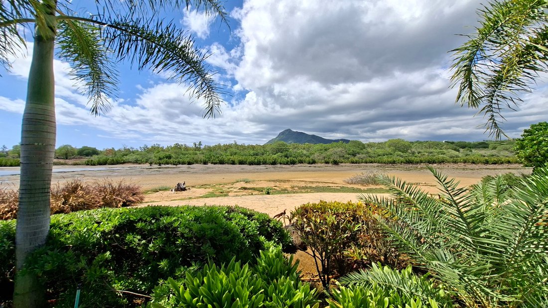 Apartment in Ilot Fortier, Rivière Noire District, Mauritius 3 - 17598057