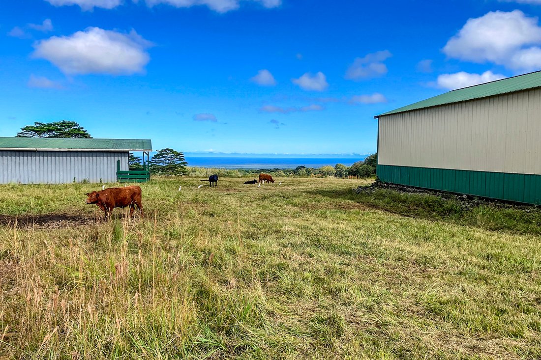Land in Mountain View, Hawaii, United States 1 - 17598106
