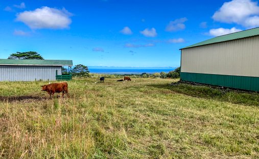 Land in Mountain View, Hawaii, United States 1