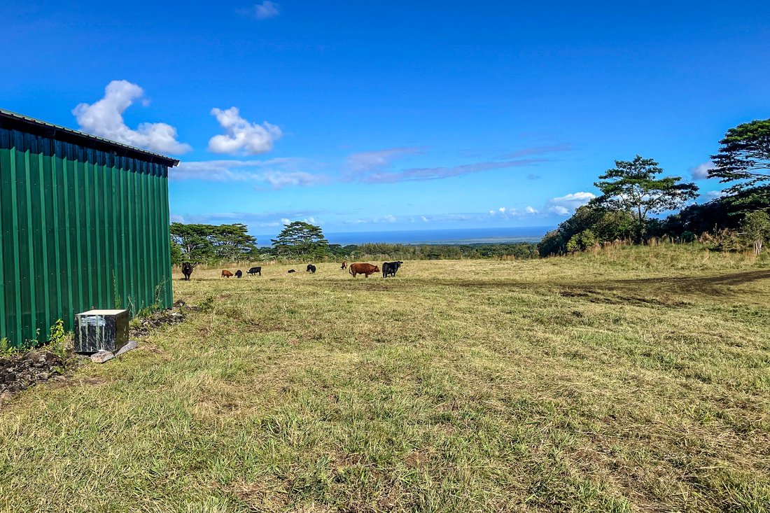 Land in Mountain View, Hawaii, United States 5 - 17598106