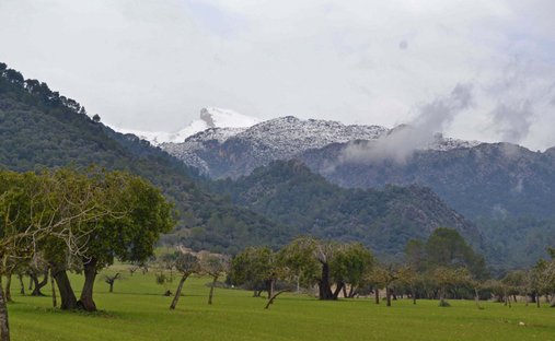 Terreno a Campanet, Isole Baleari, Spagna 1