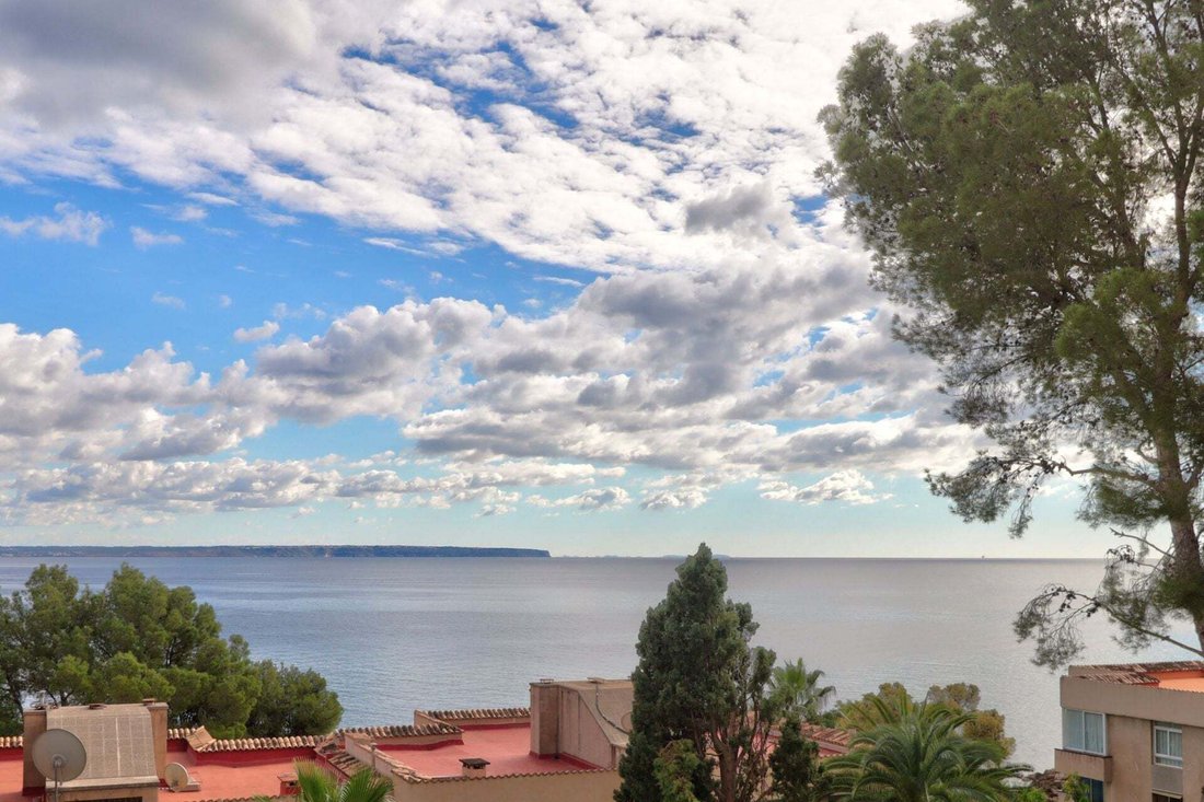 Apartment in Cas Catala, Calvia, Balearic Islands 2 - 17598304