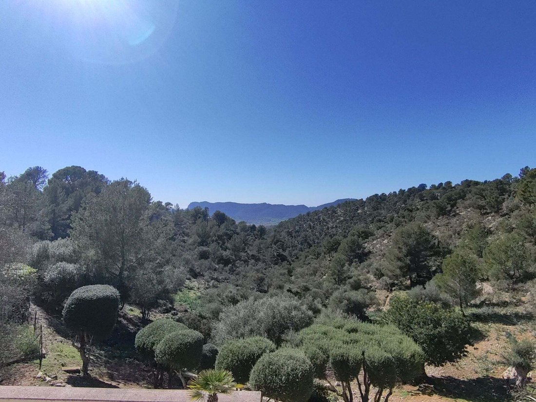 Villa in Calvia, Balearic Islands, Spain 5 - 17598286