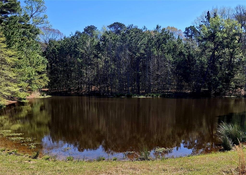 Farm Ranch in Jacksonville, Texas, United States 2 - 17610496