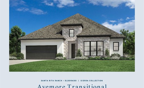 House in Liberty Hill, Texas, United States 1
