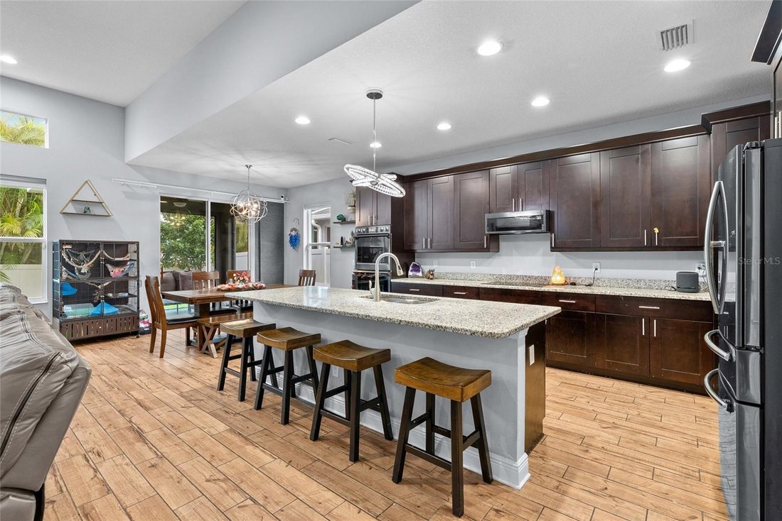 House in Pinellas Park, Florida, United States 3 - 17603667