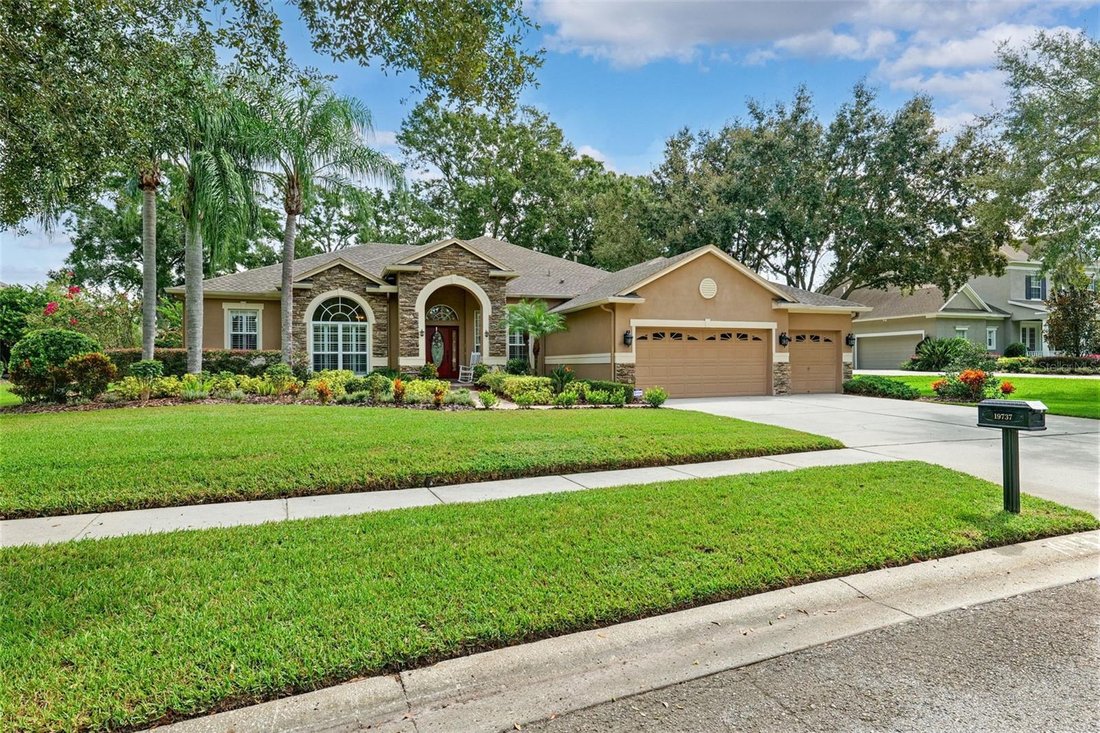House in Lutz, Florida, United States 1 - 17603756