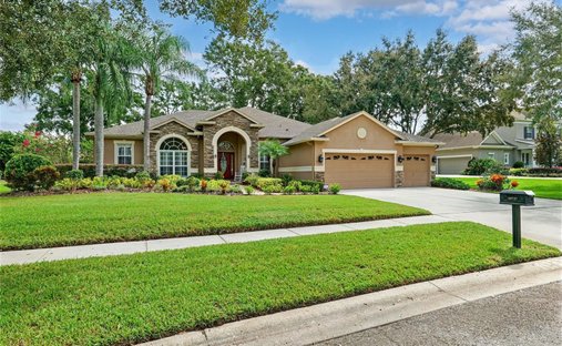 Casa a Lutz, Florida, Stati Uniti 1