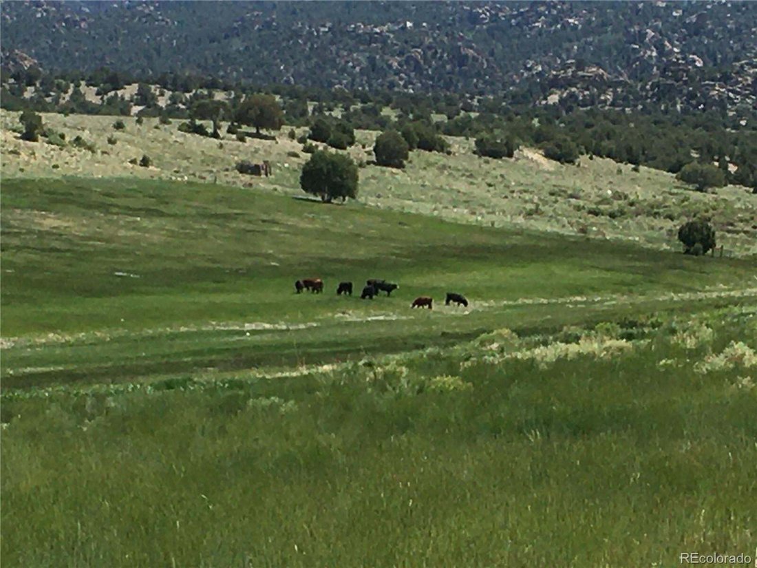 House in Nathrop, Colorado, United States 4 - 17611666