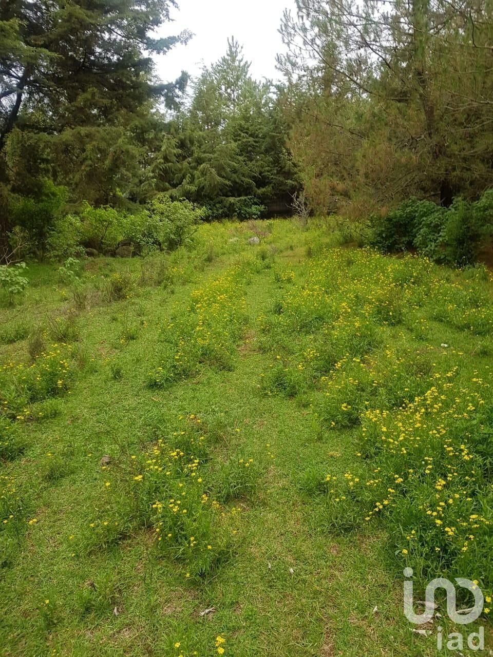 Land in Canalejas, State of Mexico, Mexico 2 - 17601226