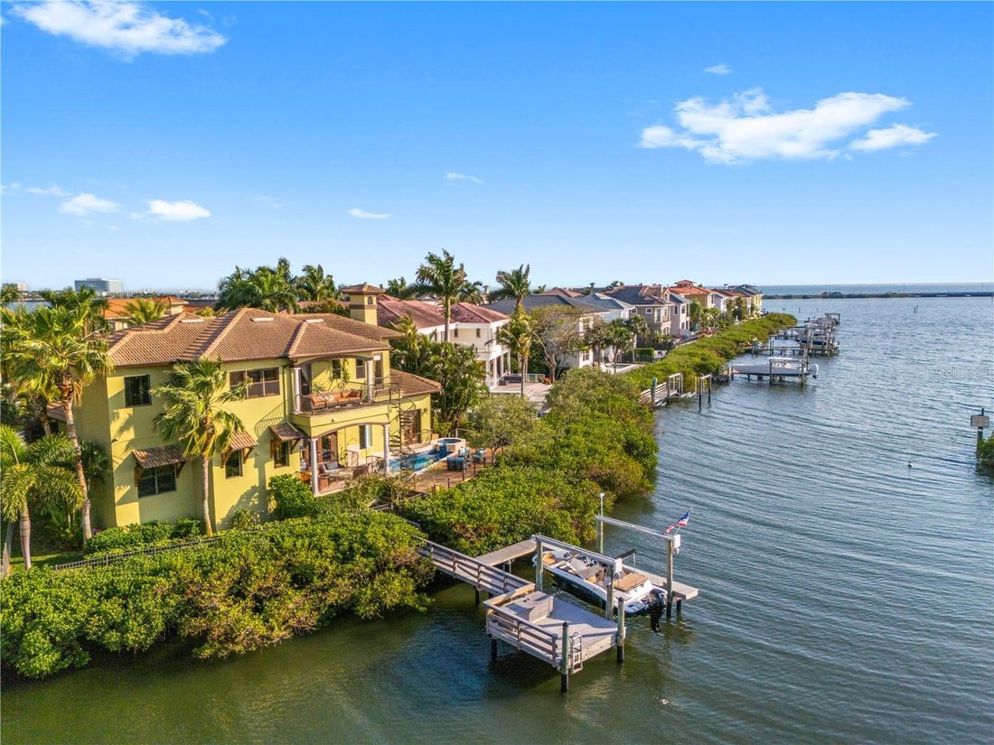 House in Tampa, Florida, United States 1 - 17613188