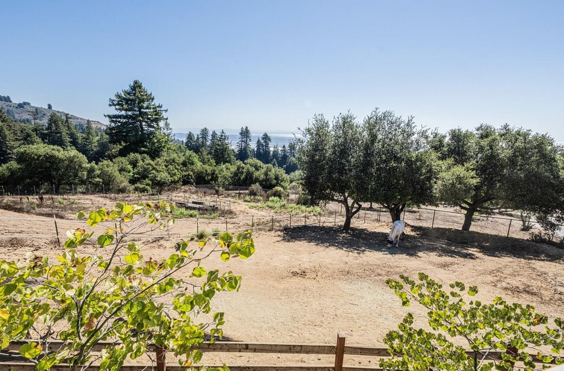 House in Watsonville, California, United States 3 - 17390872