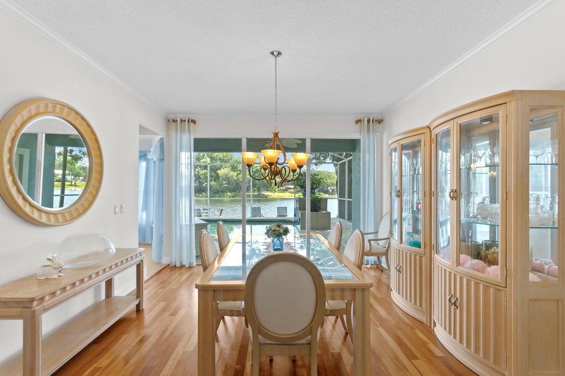 House in Tampa, Florida, United States 5 - 17604394