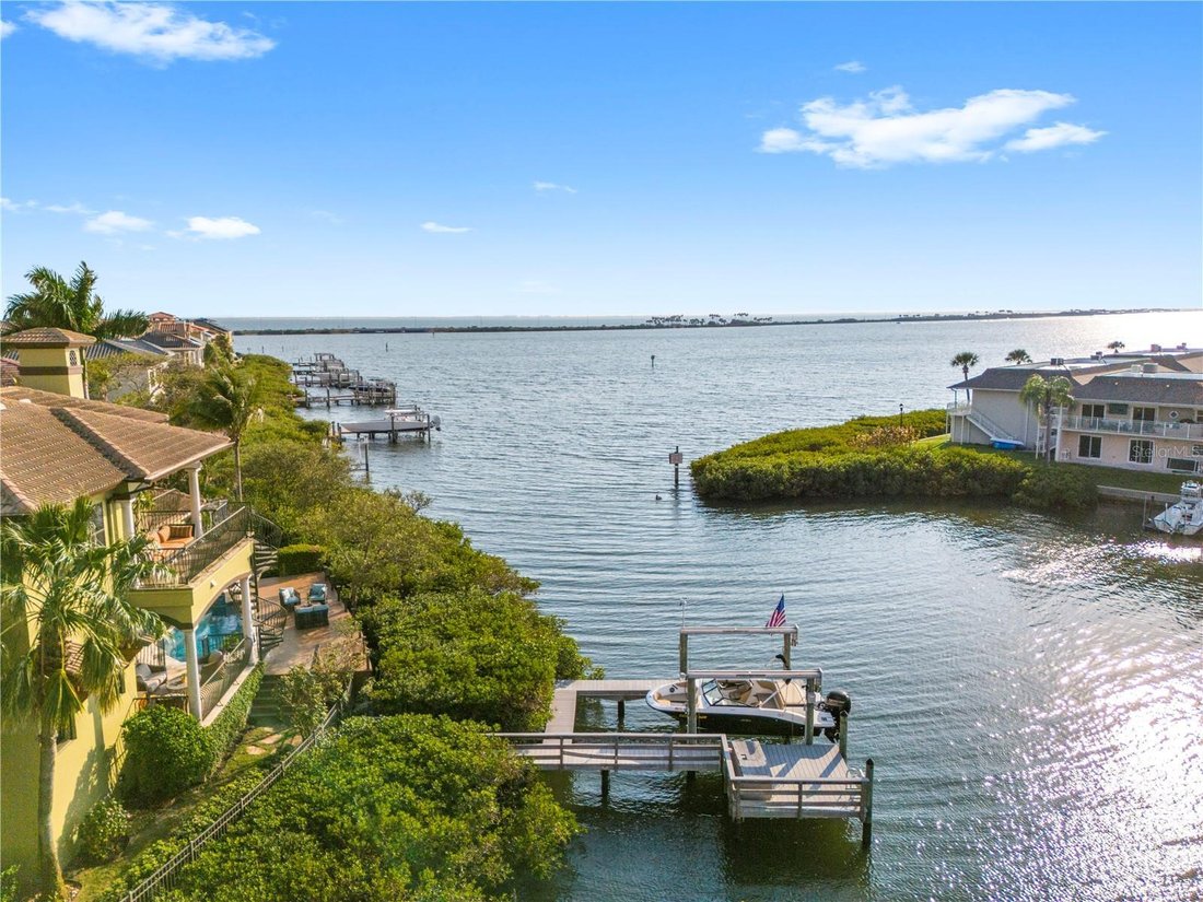 House in Tampa, Florida, United States 5 - 17613188