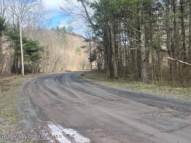 Jewett, New York, United States 4 - 17615719