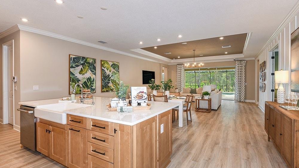 House in Odessa, Florida, United States 3 - 17603508